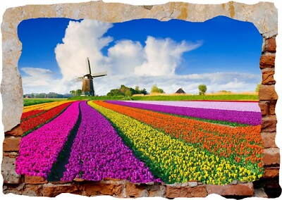 Tulpen Natur Windmühle Niederlande 3D Wandsticker Poster Aufkleber Wandbild Zimmer Z287