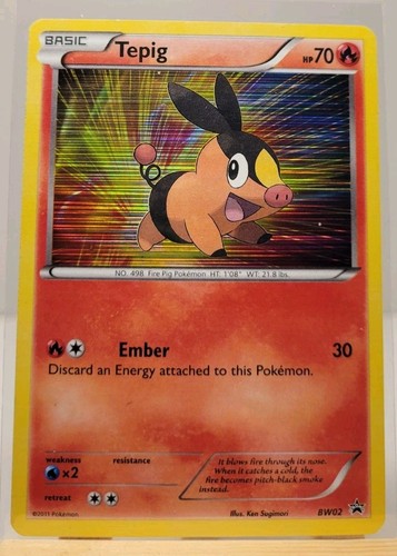 Pokemon TCG BW Black Star Promo Tepig BW02 HOLO