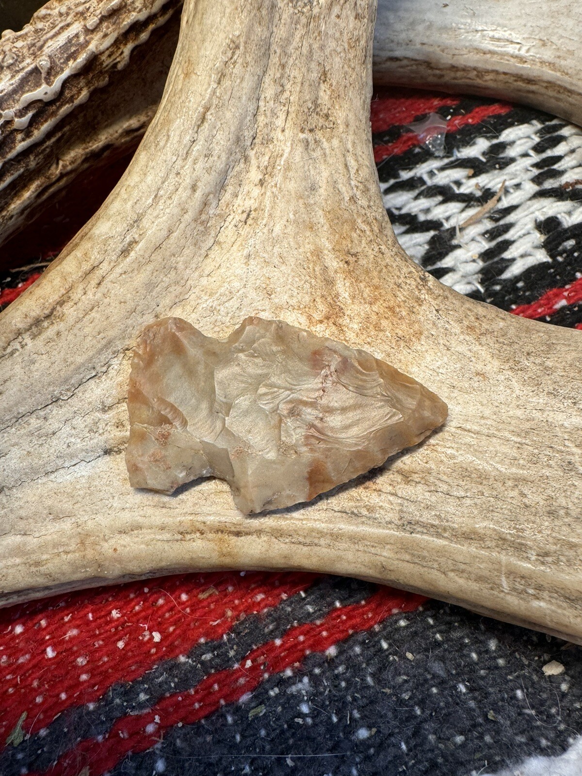 Picture 12 of 19