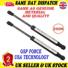 2X TAILGATE BOOT GAS STRUTS 250 Newton FOR RENAULT ZOE 654707388R
