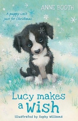 Lucy Makes a Wish by Booth, Anne 0192772481 FREE Shipping