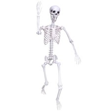 5.9Ft Halloween Posable Life Size Full Body Plastic Skeleton Decor