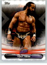 2019 WWE Raw #89 Tony Nese
