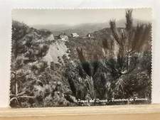 Postcard Passo Del Bracco La Spezia Ristorante "DA PIPPO CELLA"  Vtg