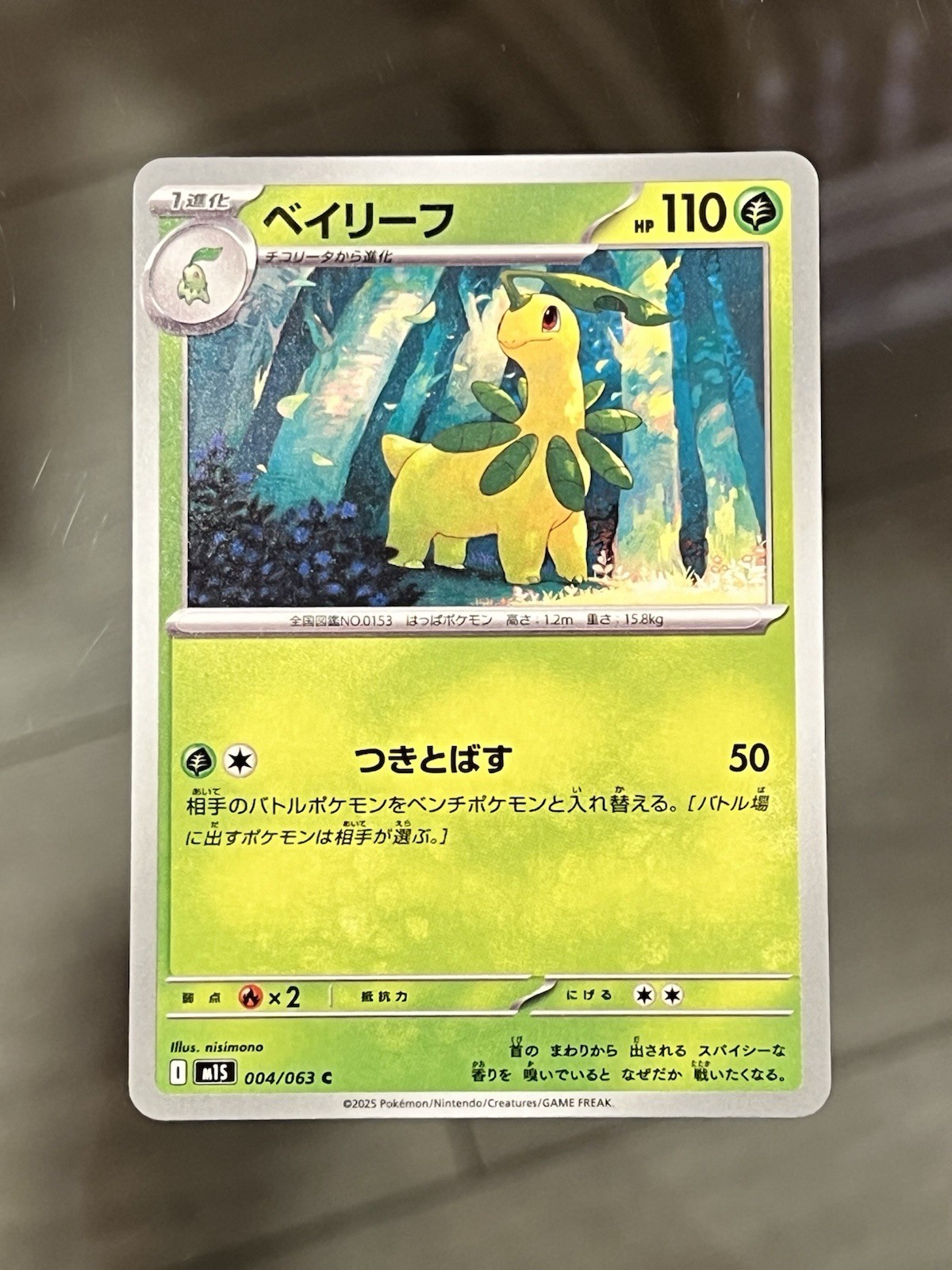 Bayleef 004/063 M1s: Mega Symphonia Regular (Japanese)