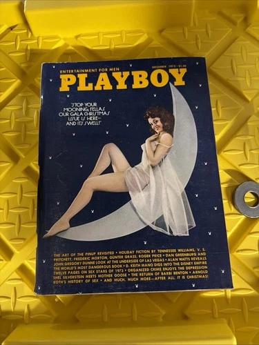 PLAYBOY MAGAZINE DEC 1973 LOOSE CENTERFOLD CHRISTINE MADDOX HEFNER ENTERTAINMENT