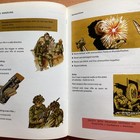 Bild 11 von 19