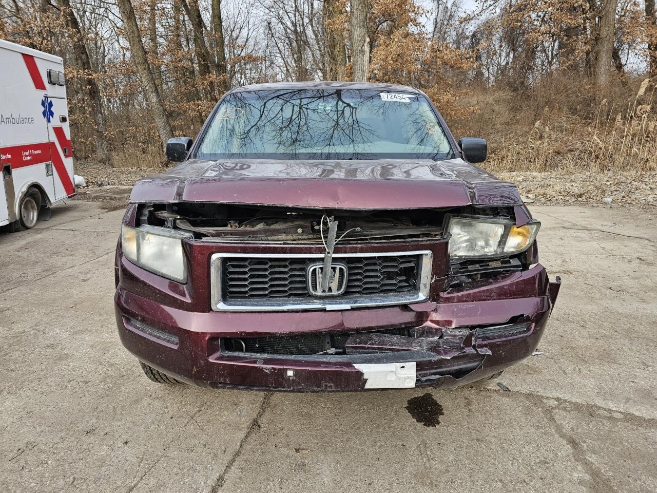 Picture 4