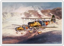 Aircraft  Aeroplane Aviation Jet  propeller Plane Transportation Postcard 04525