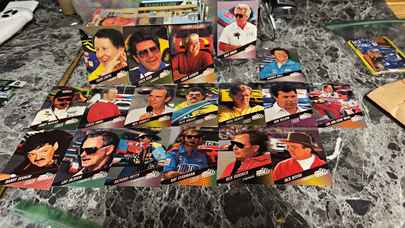 Pinnacle NASCAR 1994 finish line racing 18-Card Lot Petty/Hendrick/Evernham