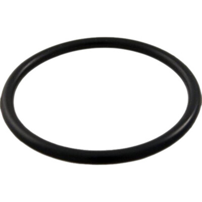Waterway 805-0224 1.5'' Union Tailpiece O-Ring Replacement Part for Swimming Pool