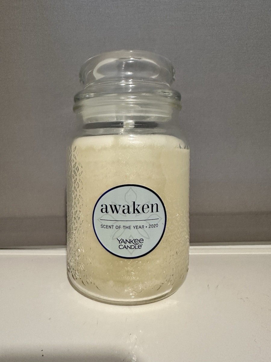 Yankee Candle Large Jar 623g 2020 Scent Of The Year Awaken Very