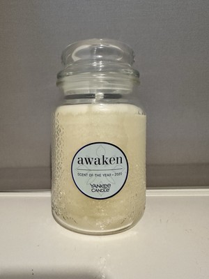 Yankee Candle Large Jar 623g 2020 Scent Of The Year Awaken Very