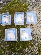 🦈 Fossiler Hai Schreckenshai Zahn Haifischzahn Kette Bestimmung Im Schaukasten