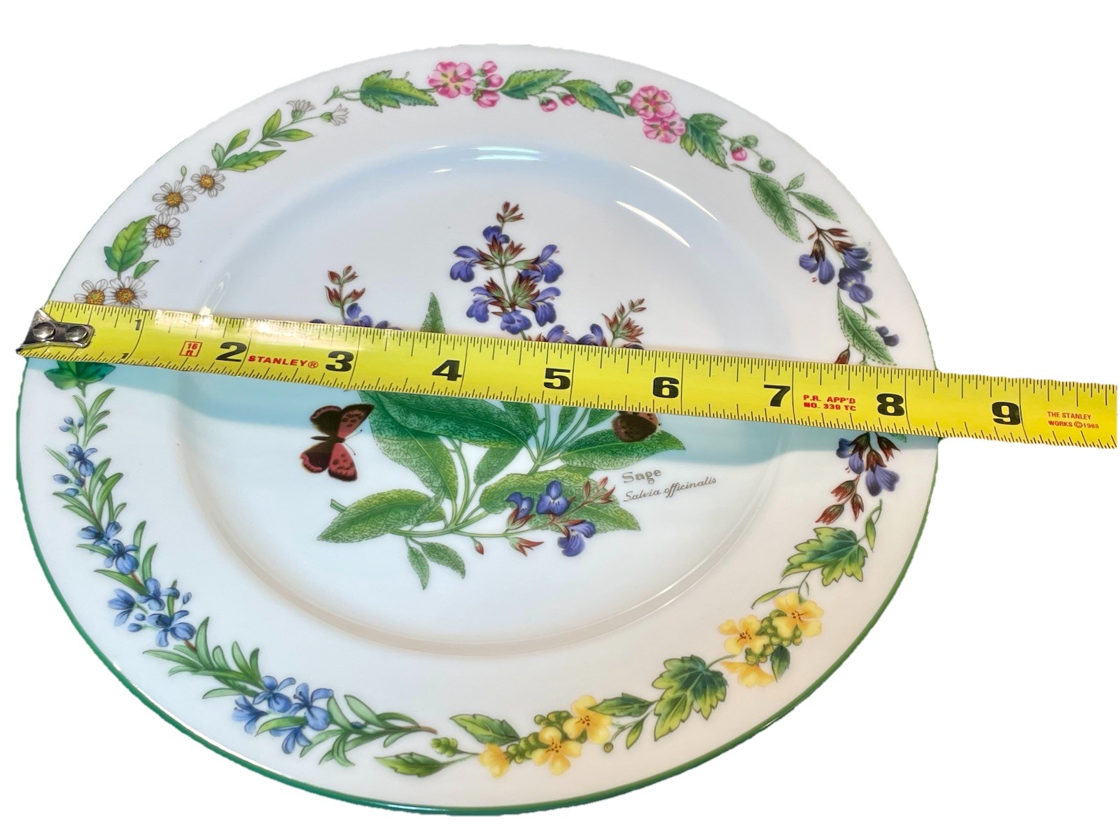 Vintage Royal Worcester Herbs Salad Dessert Plate Sage Green Rim ~ MINT Set Of 4