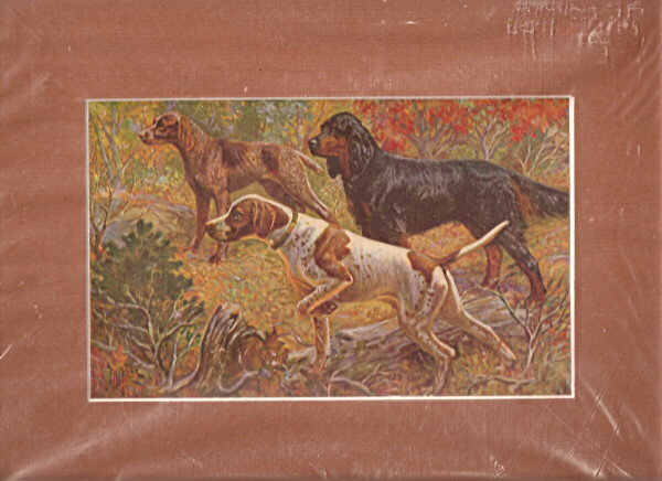 Matted Print: English Pointer Gordon Setter*