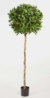 Artplants Runder Kunst Lorbeerbaum Caius 1036 BläTter, GrüN, 140Cm