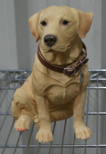 Robert Harrop, Doggie People, CC33 Golden Retriever, Golf