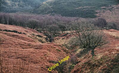 Foto 12x8 Wildschwein Clough Crowden\/SK0799 Der Fuß des Wildschwein Clough. c2013