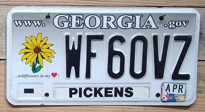 Georgia Wildflower Expired License Plate Auto Tag ~ WF60VZ