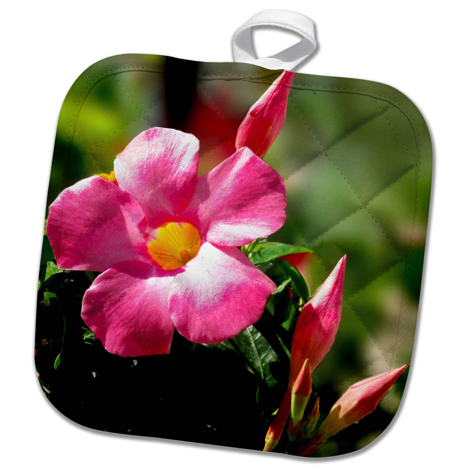 3dRose Vibrant Pink Mandevilla Blossoms 8x8 Potholder