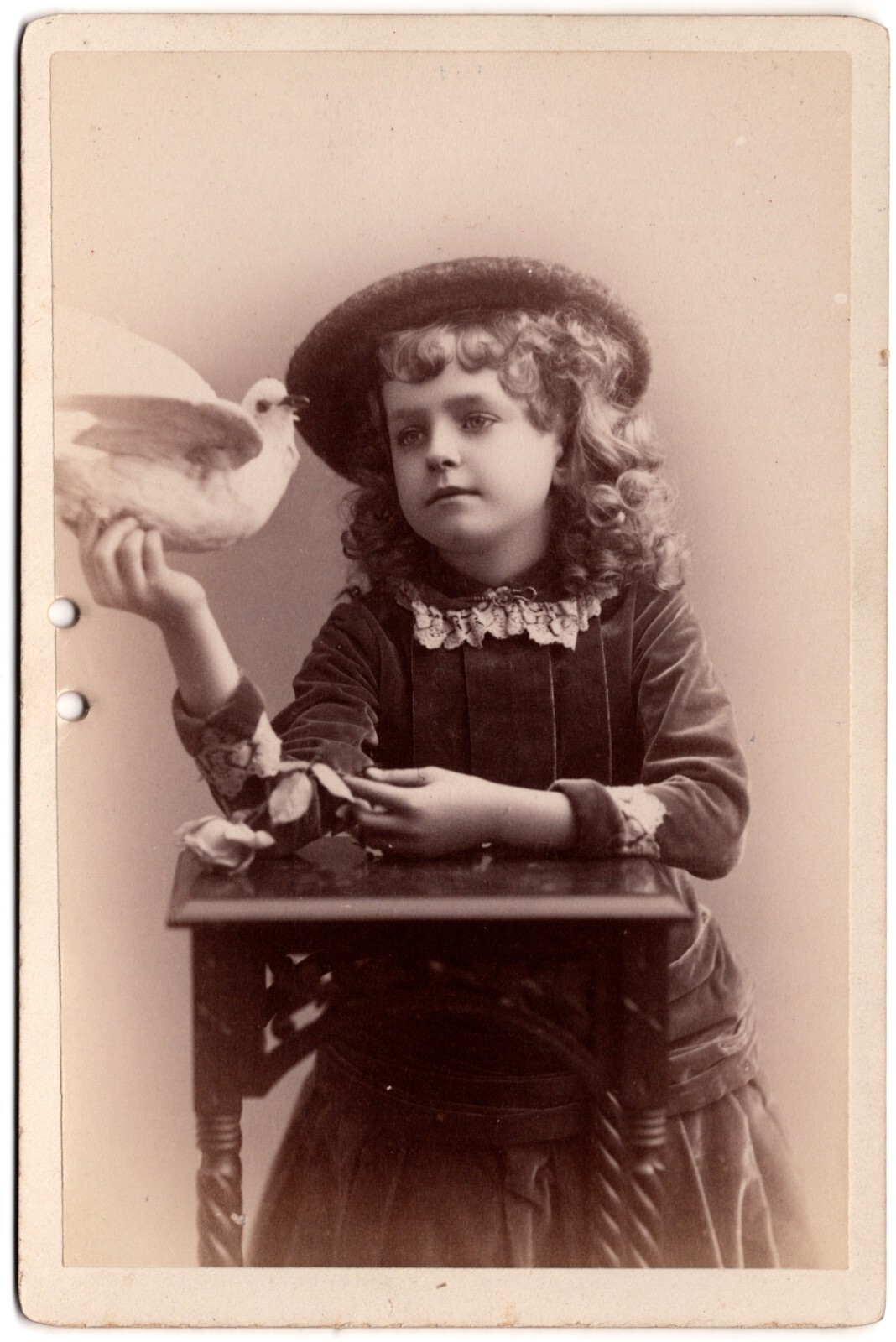 CIRCA 1890s CABINET CARD CONLY CUTE LITTLE GIRL HOLDING DOVE BOSTON MASS.