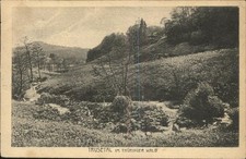 Trusetal Im Trusetal