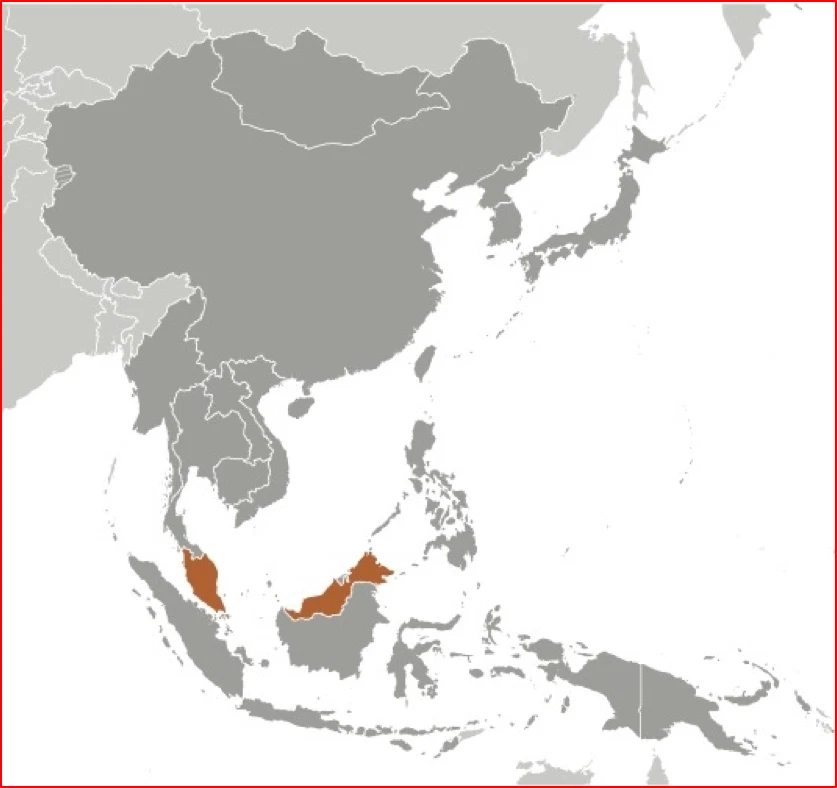 $8.75 Scott Value - 1999 MALAYSIA Locally Grown Fruits sheetlet CV MNH NH UMM - Image 4 of 4