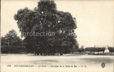 Fontainebleau Seine et Marne La Foret Carrefour de la Table du Roi A