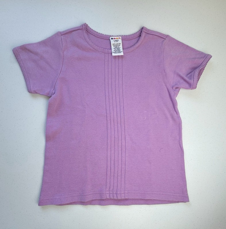 Gymboree 2000 Purple Tee Size 5