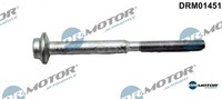 Dr.Motor Automotive DRM01451 Schraube FüR EinspritzdüSenhalter
