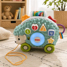 Fisher-Price Linkimals Happy Shapes Hedgehog Educational Musical Baby Works