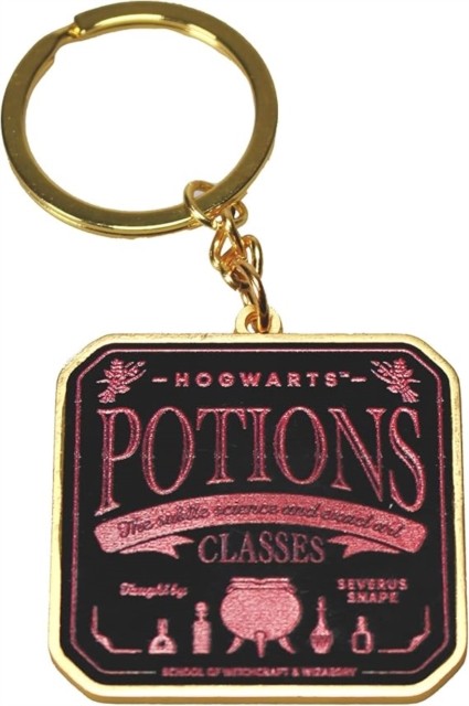 Keyring Metal  Harry Potter Potions by HALF MOON BAY 5055453495694