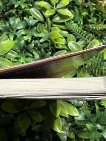 Shining Force III Scenario 1 Official Guide Sega Saturn RPG Strategy Book