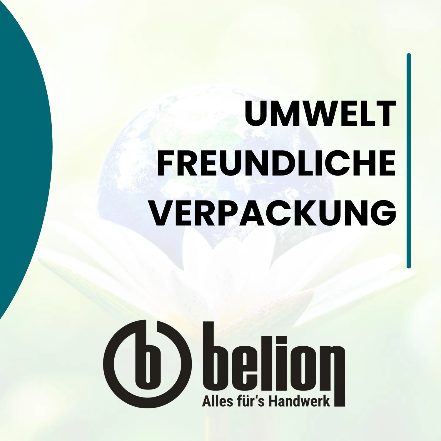 Bild 3 von 6