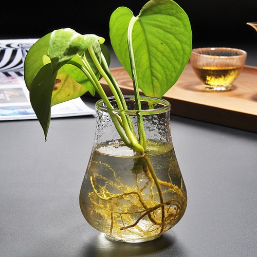 Terrarien Dekorative Vase Schwimm Kerzen Halter Vase Ornament - Bild 6 von 12