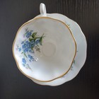 Foto 3 di 6