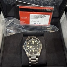 tudor pelagos 25610TNL