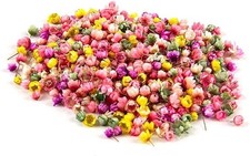140Pcs Natural Dried Pressed Flowers Daisy Flowers for DIY Crafts Resin Candl...