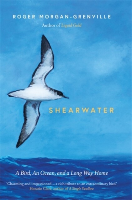 Shearwater 9781785787201 Roger Morgan-Grenville - Free Tracked Delivery