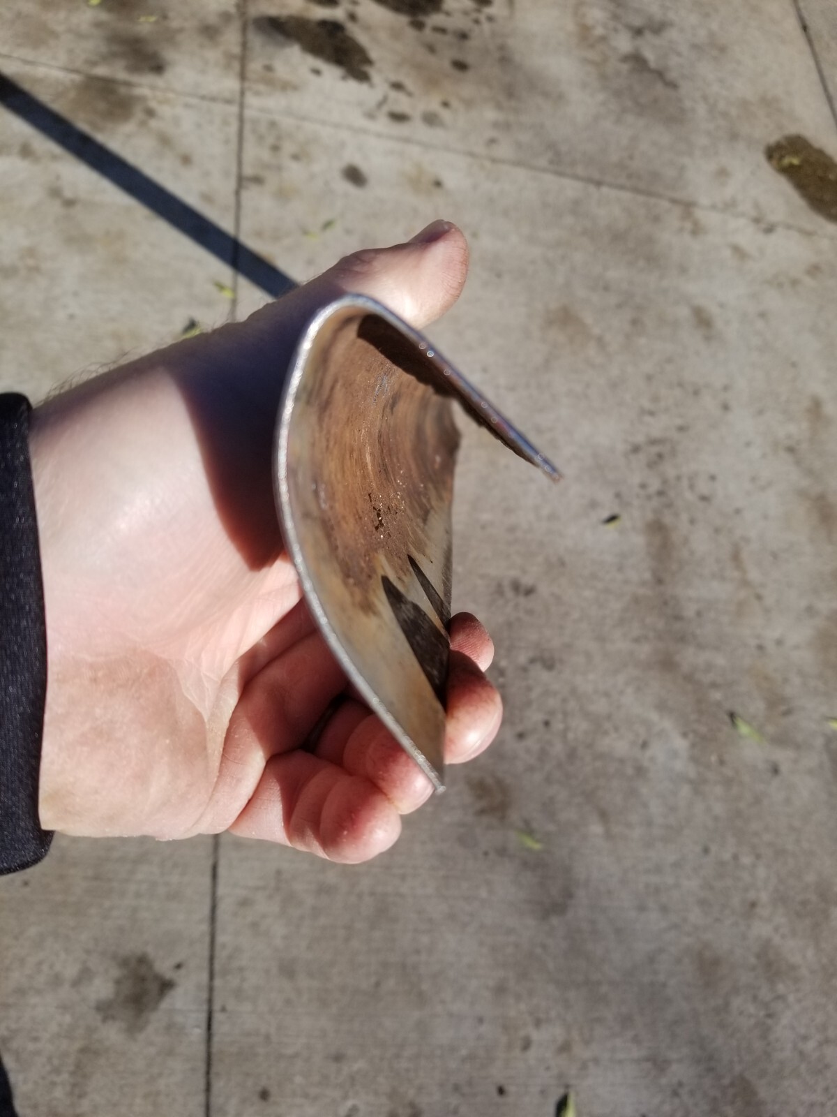 Vintage Patina Tailgate Edge Protector Ford Truck F100 1967 1968 1969