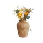 Unbranded Rattan Vases