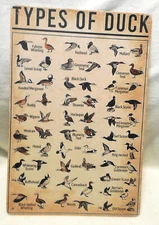 Metal Sign "Types of DUCK" Distressed 12" by 8" Hunter Man Cave