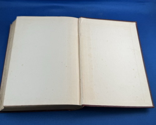 1913 HALLECKS NEUE ENGLISCHE LITERATUR Reuben Post Halleck American Book Co HC - Bild 12 von 12