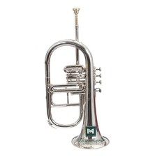 4 Valve Bb Flugelhorn, Polished Brass Instrument with Case, Mouthpiece.