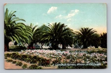 Postcard CA Winter in California Carnation Garden Flowers vintage 