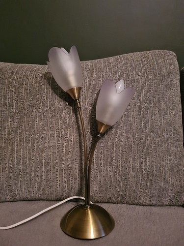 Nottingham Brassed Metal 2 Bulb Table Light With Glass Tulip Shades