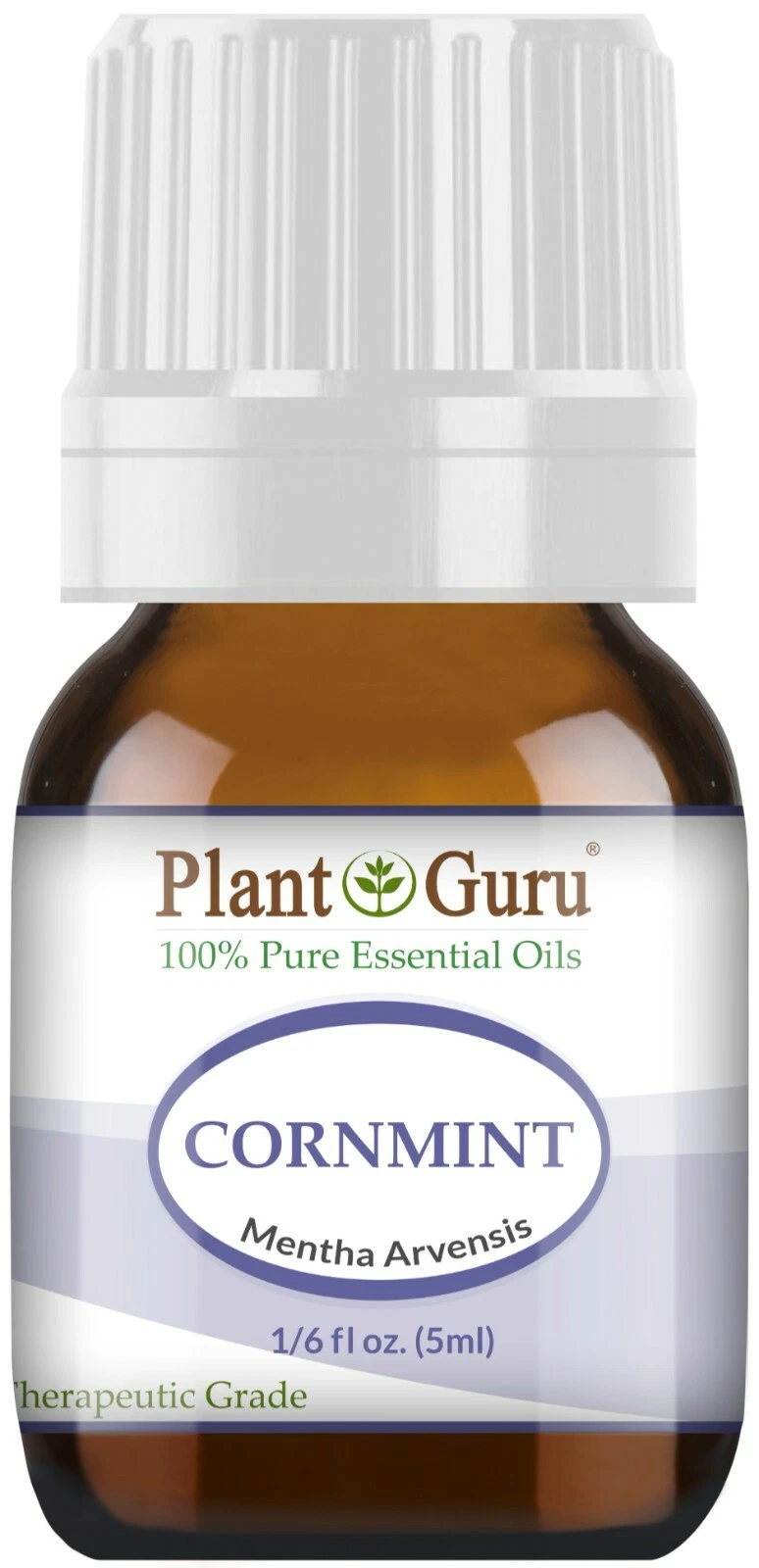 Cornmint