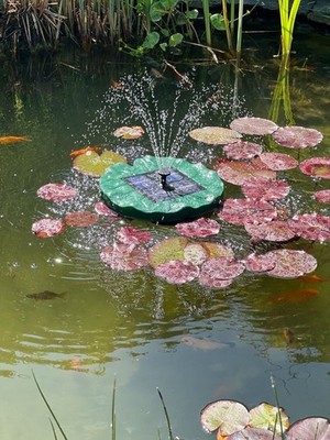 Solar Wasserfontäne ''Lilienblatt'' Springbrunnen Gartendekoration (R-114)
