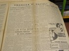 Foto 7 di 9